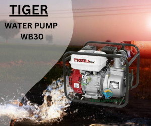 wp30 Tiger water pump Ground pump